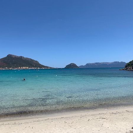 Appartamenti Le Primule Golfo Aranci Buitenkant foto