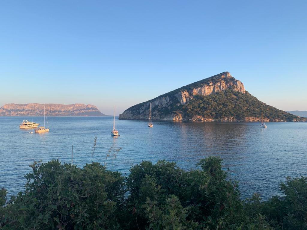 Appartamenti Le Primule Golfo Aranci Buitenkant foto